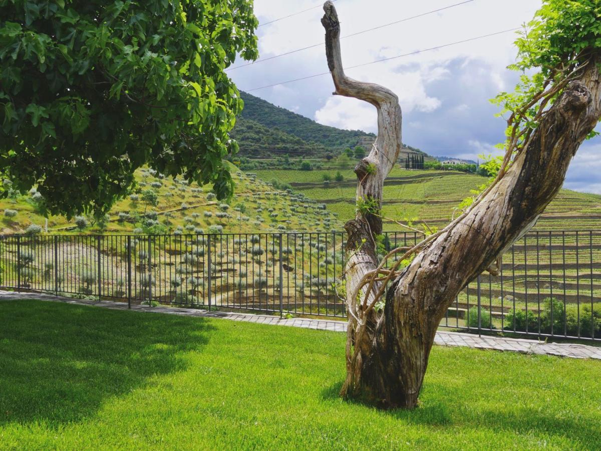 Bed and Breakfast Quinta Do Tedo Folgosa  Esterno foto