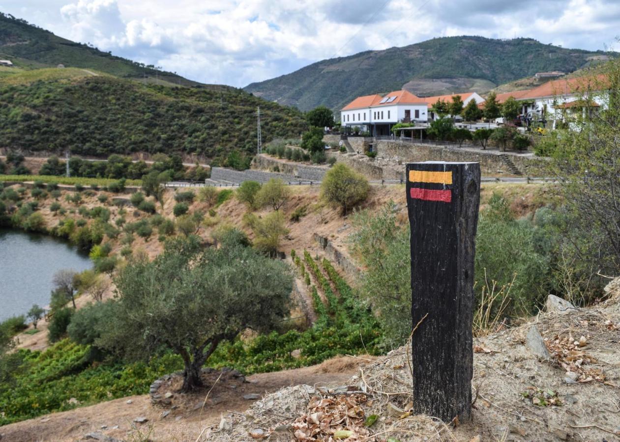 Bed and Breakfast Quinta Do Tedo Folgosa  Esterno foto
