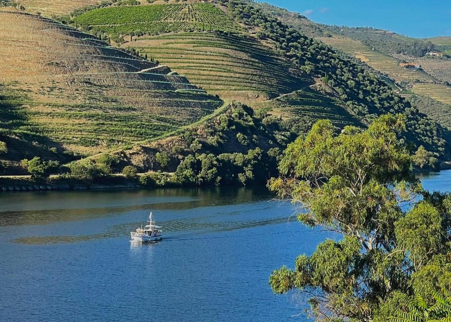 Bed and Breakfast Quinta Do Tedo Folgosa  Esterno foto