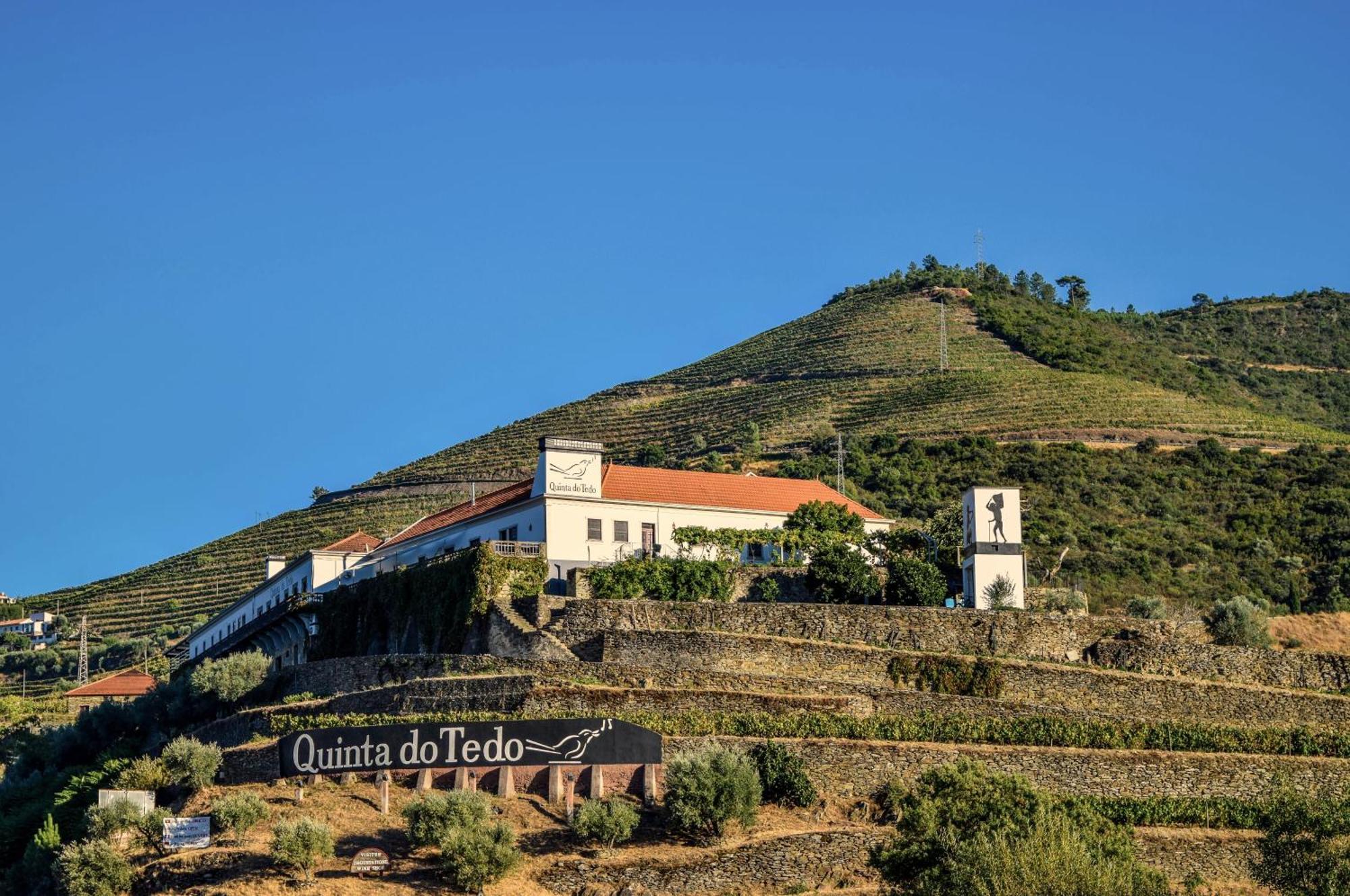 Bed and Breakfast Quinta Do Tedo Folgosa  Esterno foto