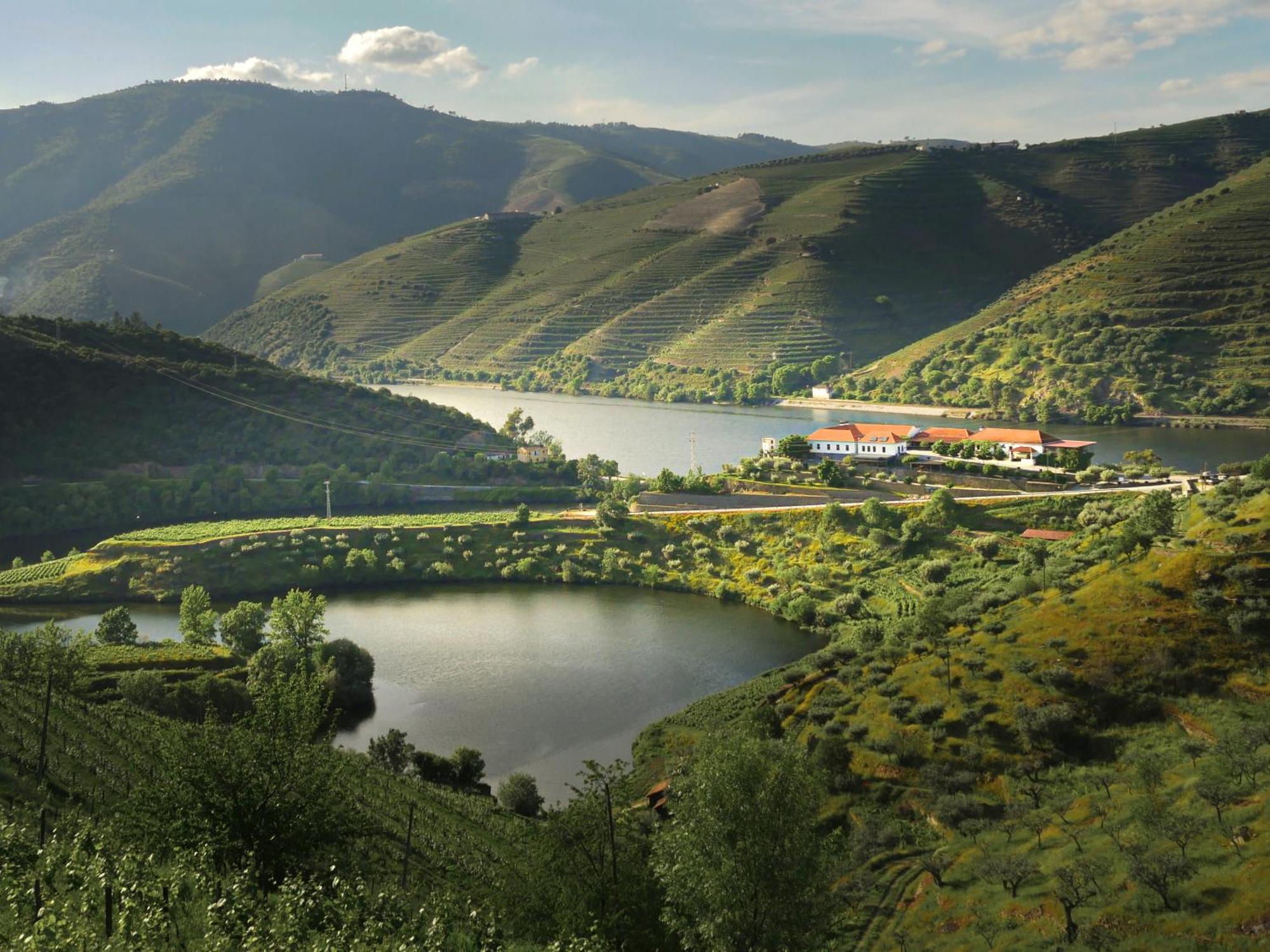 Bed and Breakfast Quinta Do Tedo Folgosa  Esterno foto
