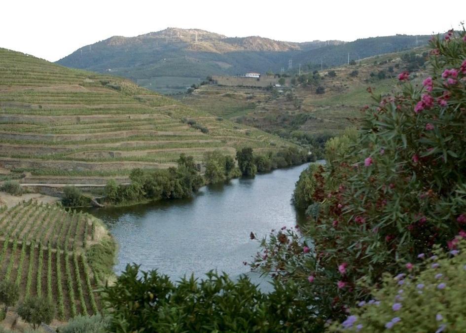 Bed and Breakfast Quinta Do Tedo Folgosa  Esterno foto